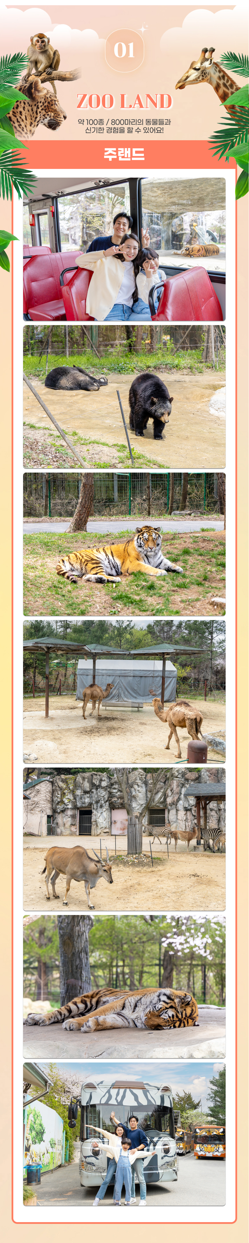 [대전] 오월드 자유이용권