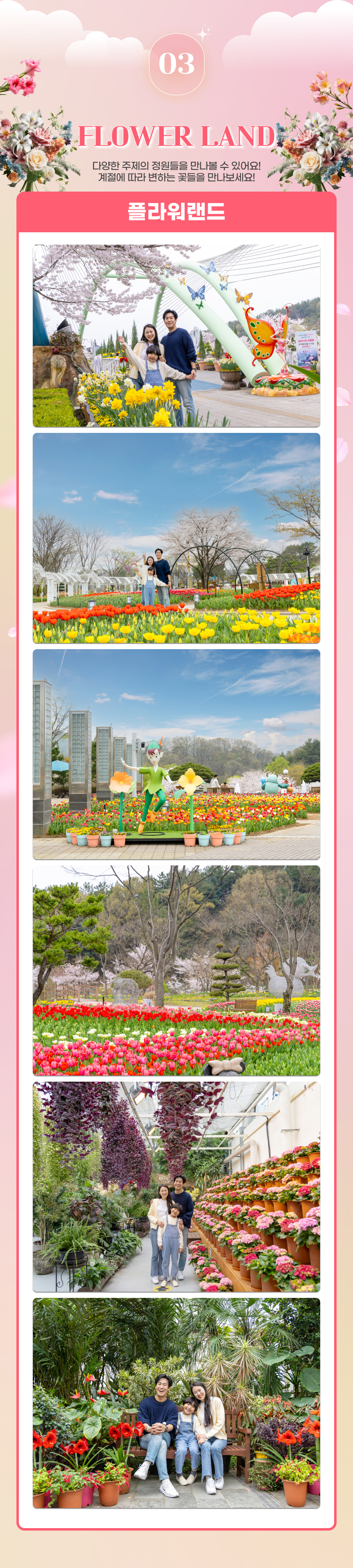 [대전] 오월드 자유이용권