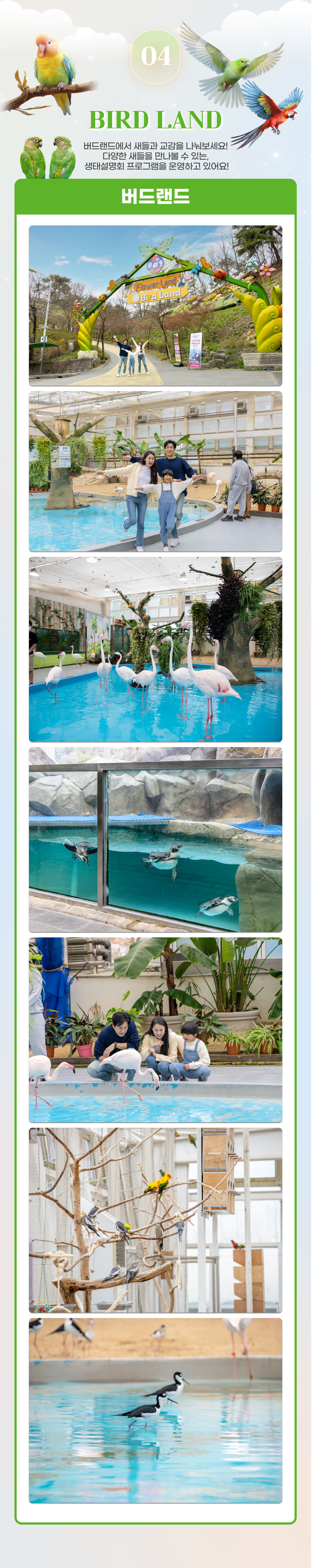 [대전] 오월드 자유이용권