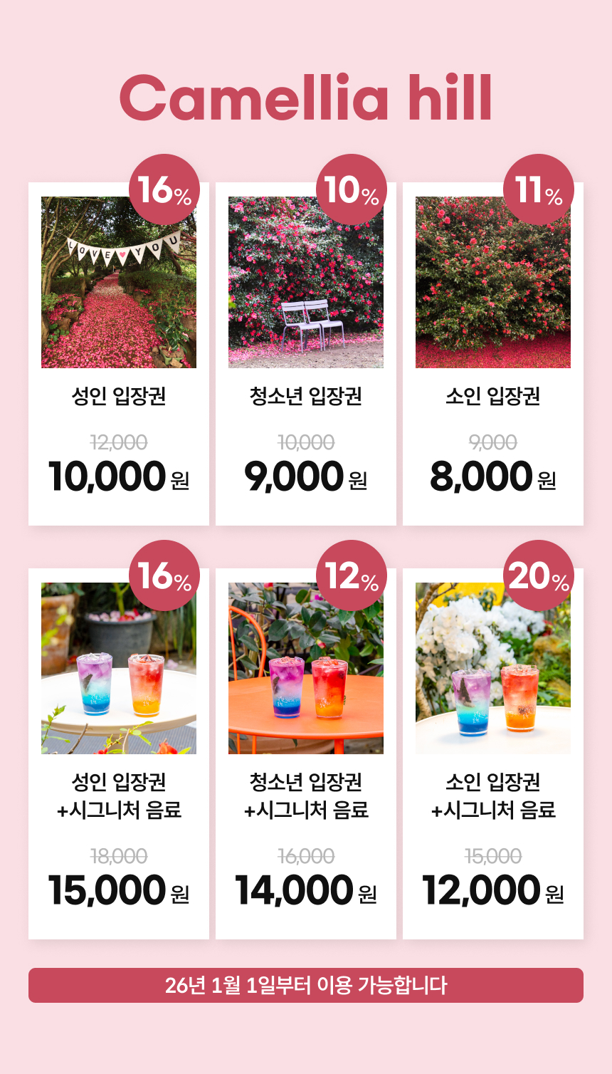 [제주] 카멜리아힐