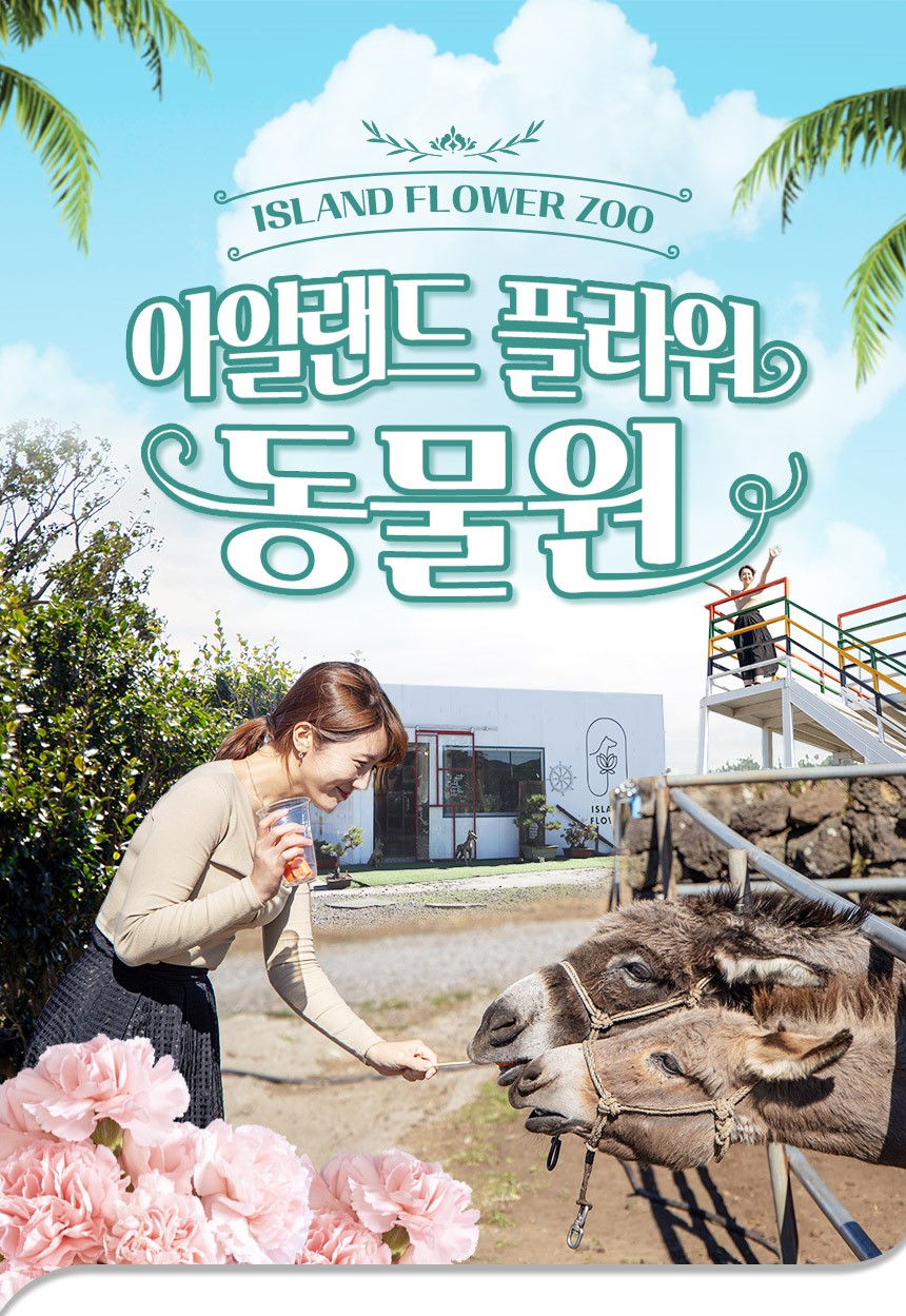 상품설명