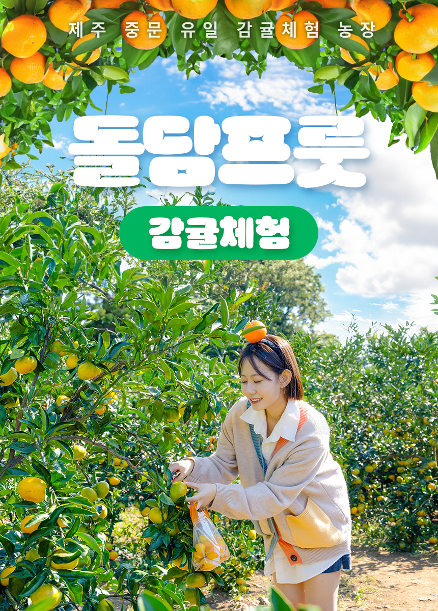 [제주] 돌담프룻 이용권