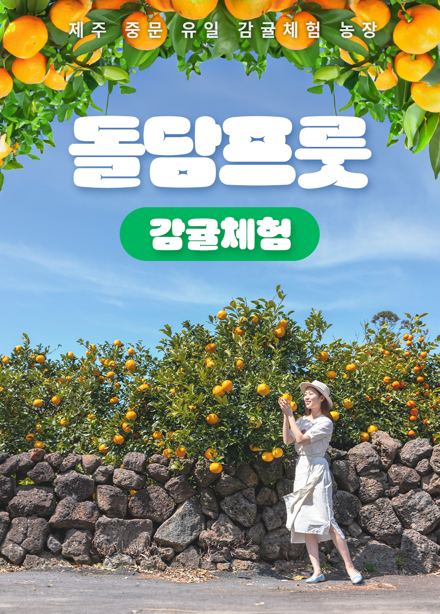 [제주] 돌담프룻 이용권