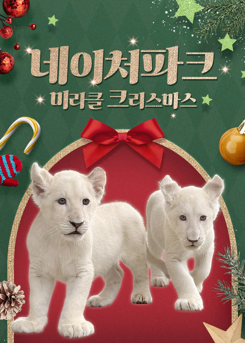 [대구] 네이처파크 미라클크리스마스 입장권(12/1~)