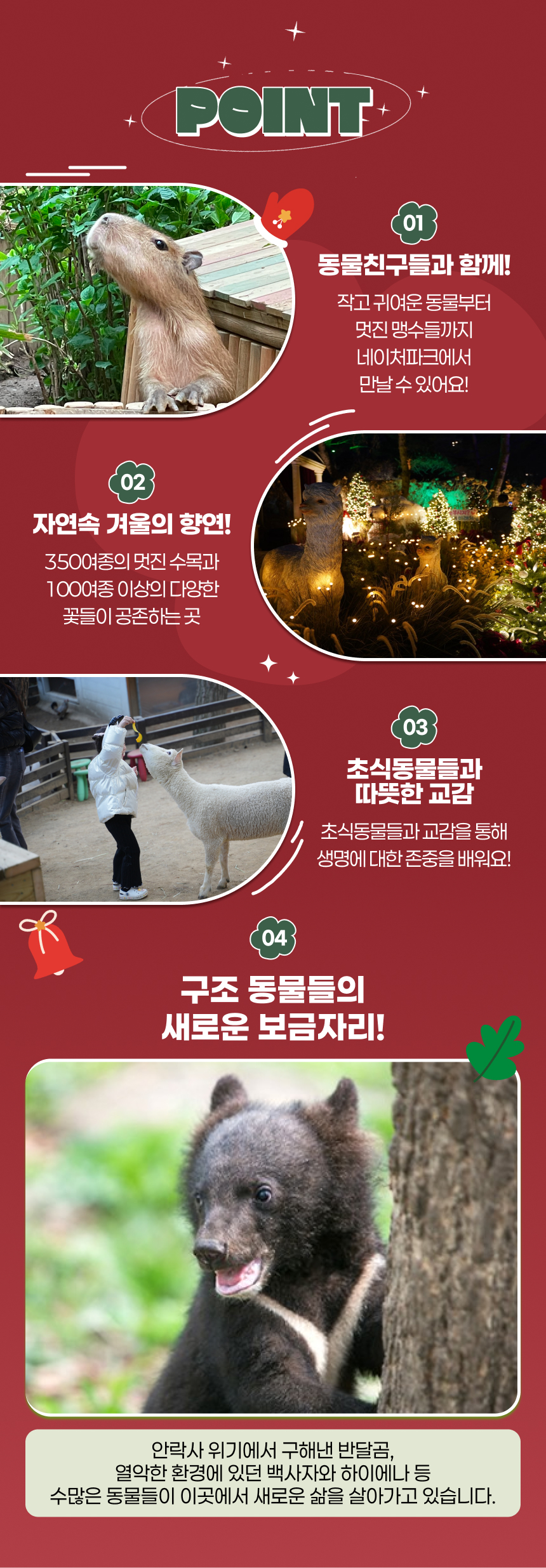 [대구] 네이처파크 미라클크리스마스 입장권(12/1~)