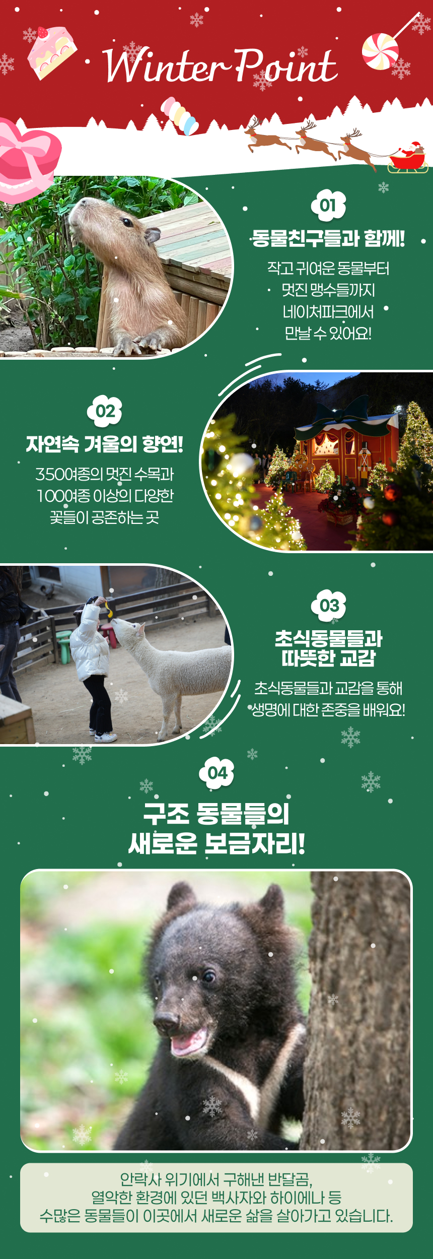 [대구] 네이처파크 스윗윈터페스티벌 이용권