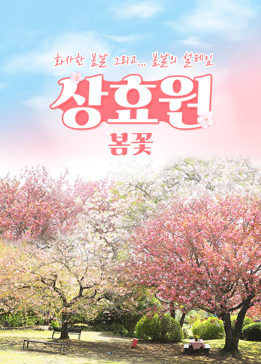 상품설명