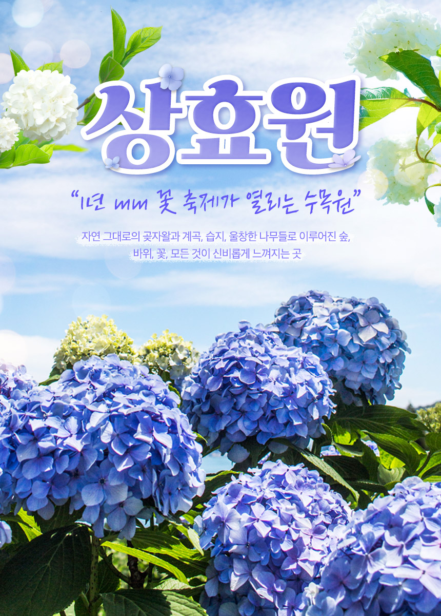 상품설명