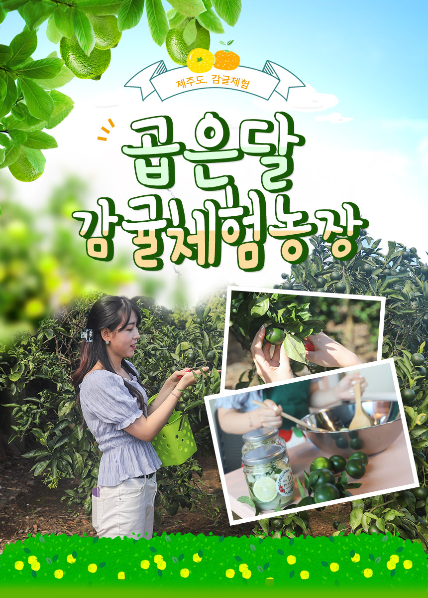 상품설명