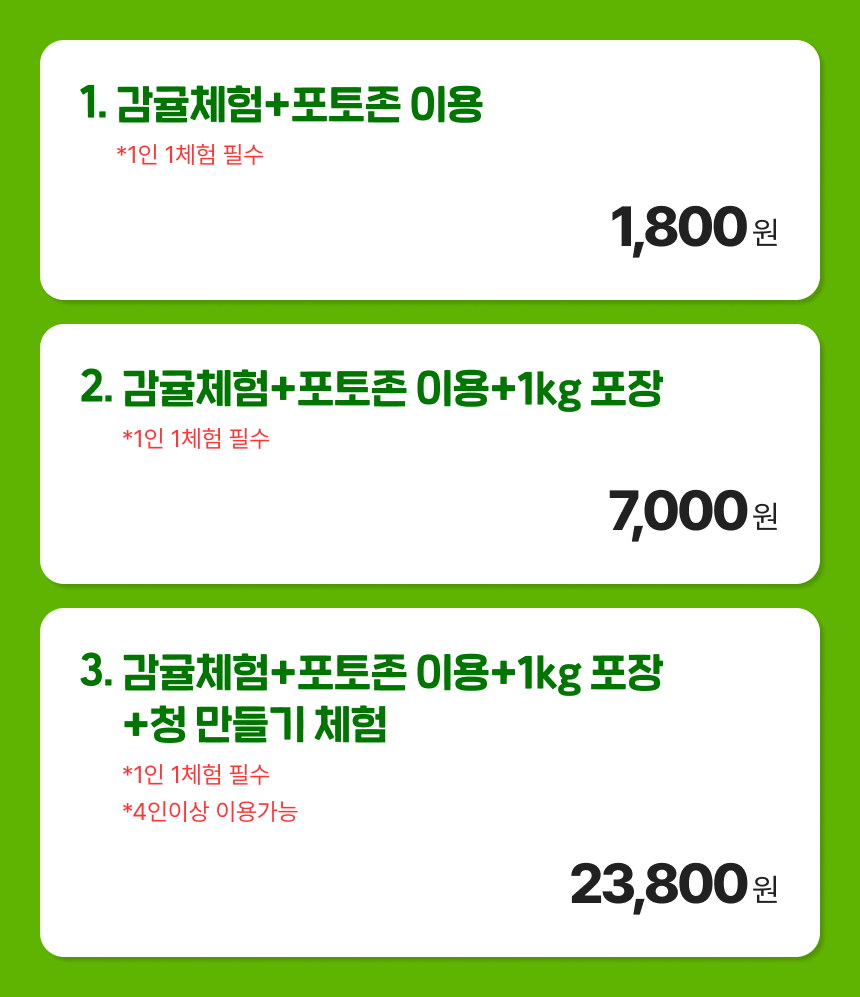 [제주] 곱은달 감귤체험농장