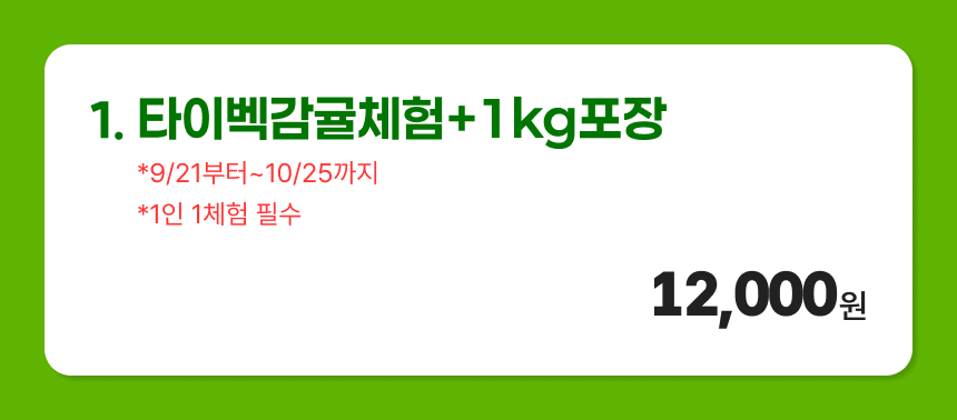 상품설명