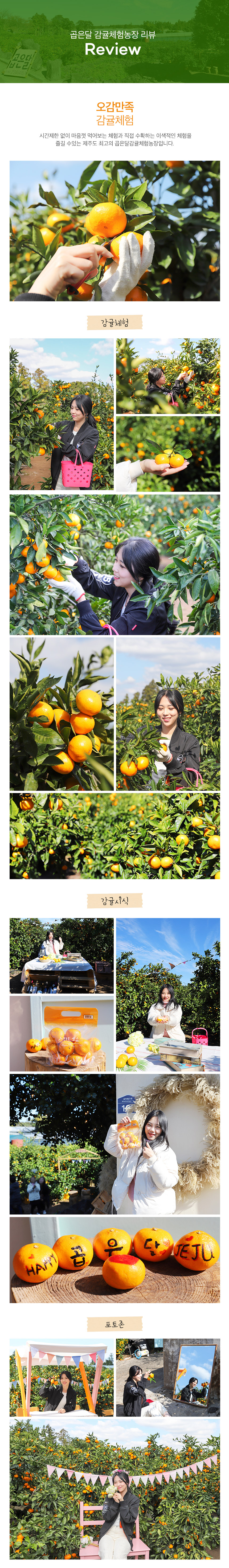 [제주] 곱은달 감귤체험농장