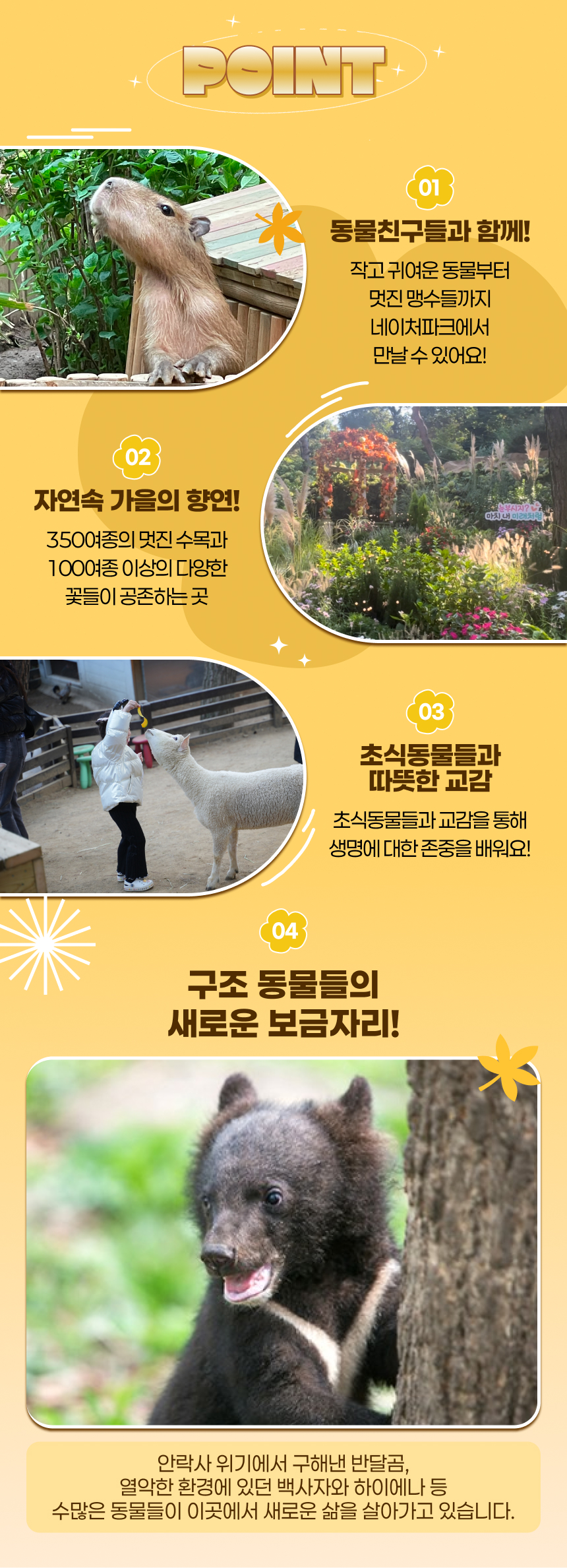 [대구] 네이처파크 가을이용권(~25/11/30)