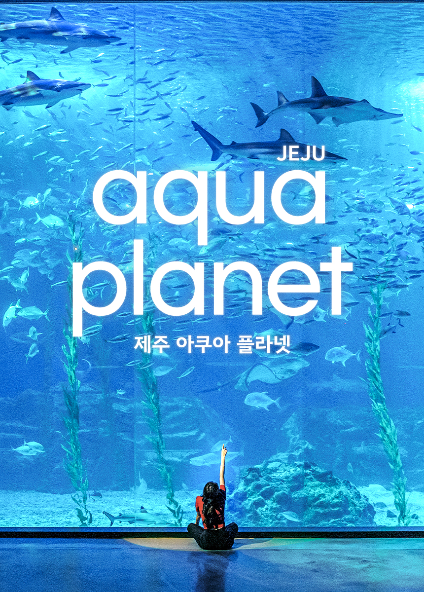 [제주] 아쿠아플라넷 입장권(+낙타트래킹&먹이주기체험+자연인제족욕체험 증정)