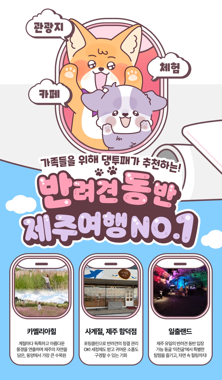 [제주] 댕댕투어패스