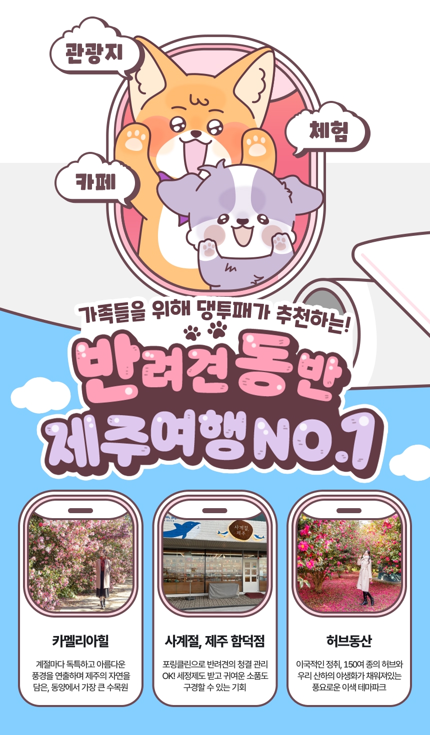 [제주] 댕댕투어패스