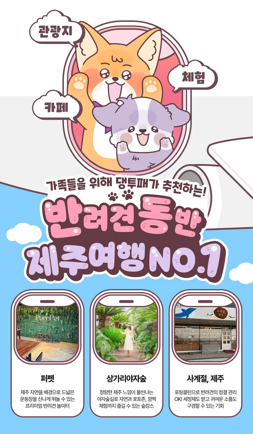 [제주] 댕댕투어패스