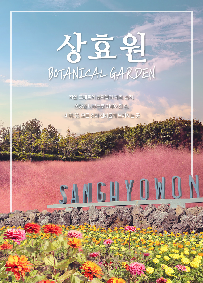 상품설명