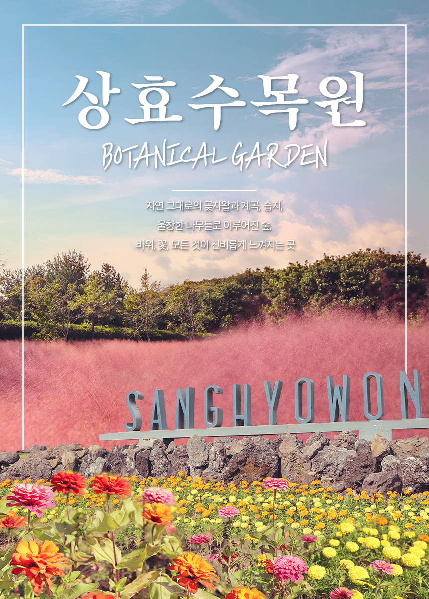 상품설명