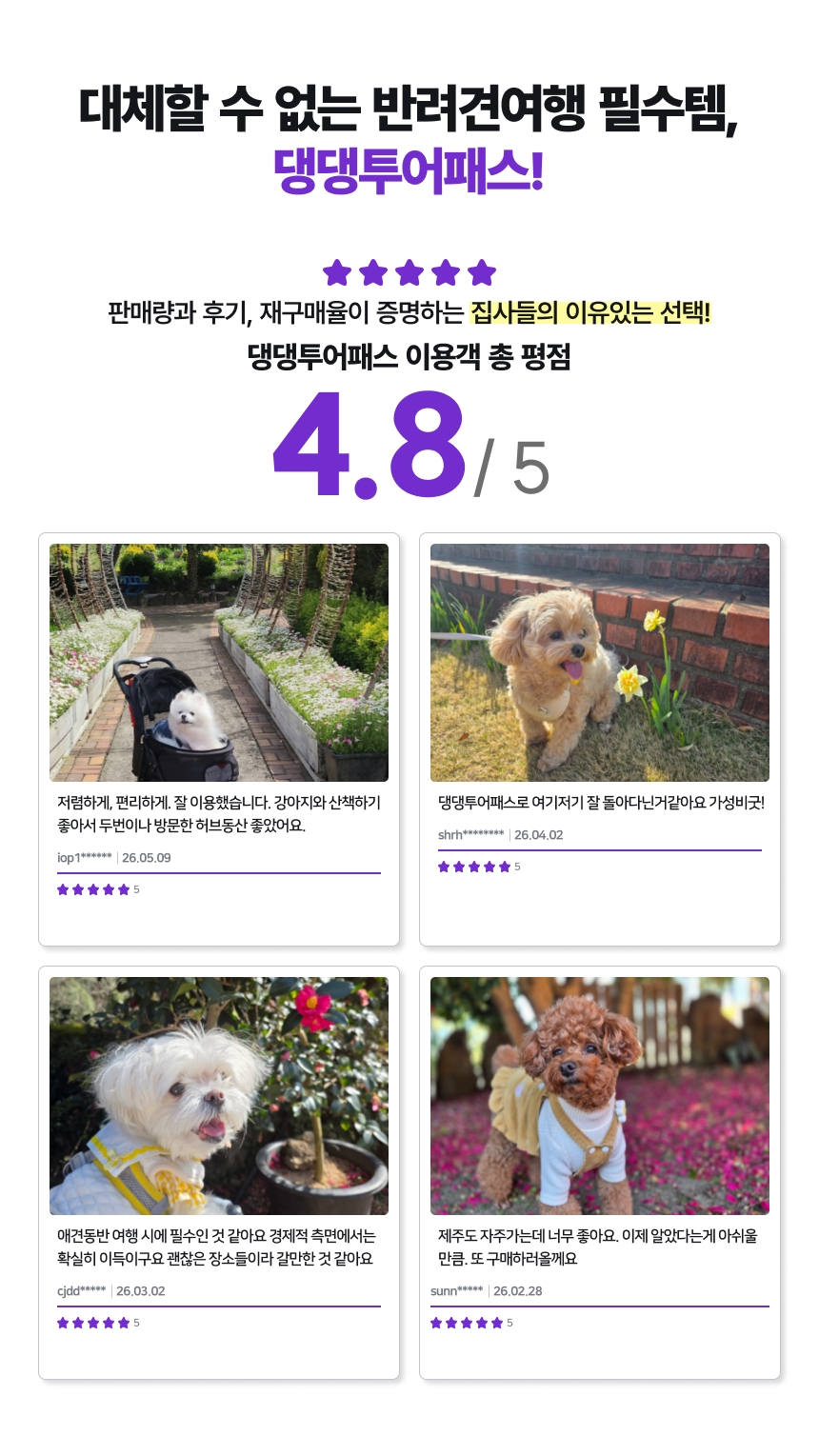 댕댕투어패스