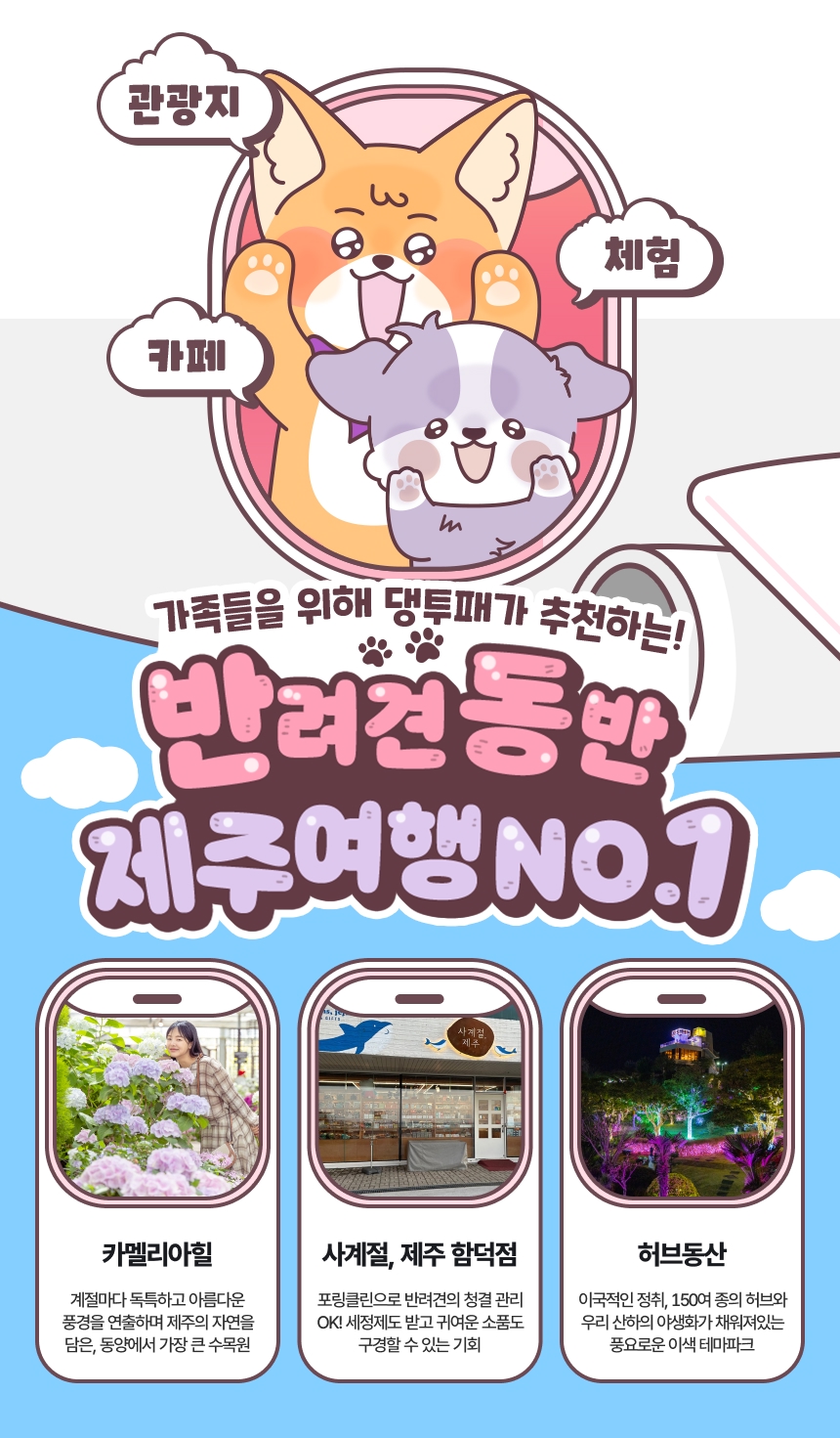 댕댕투어패스