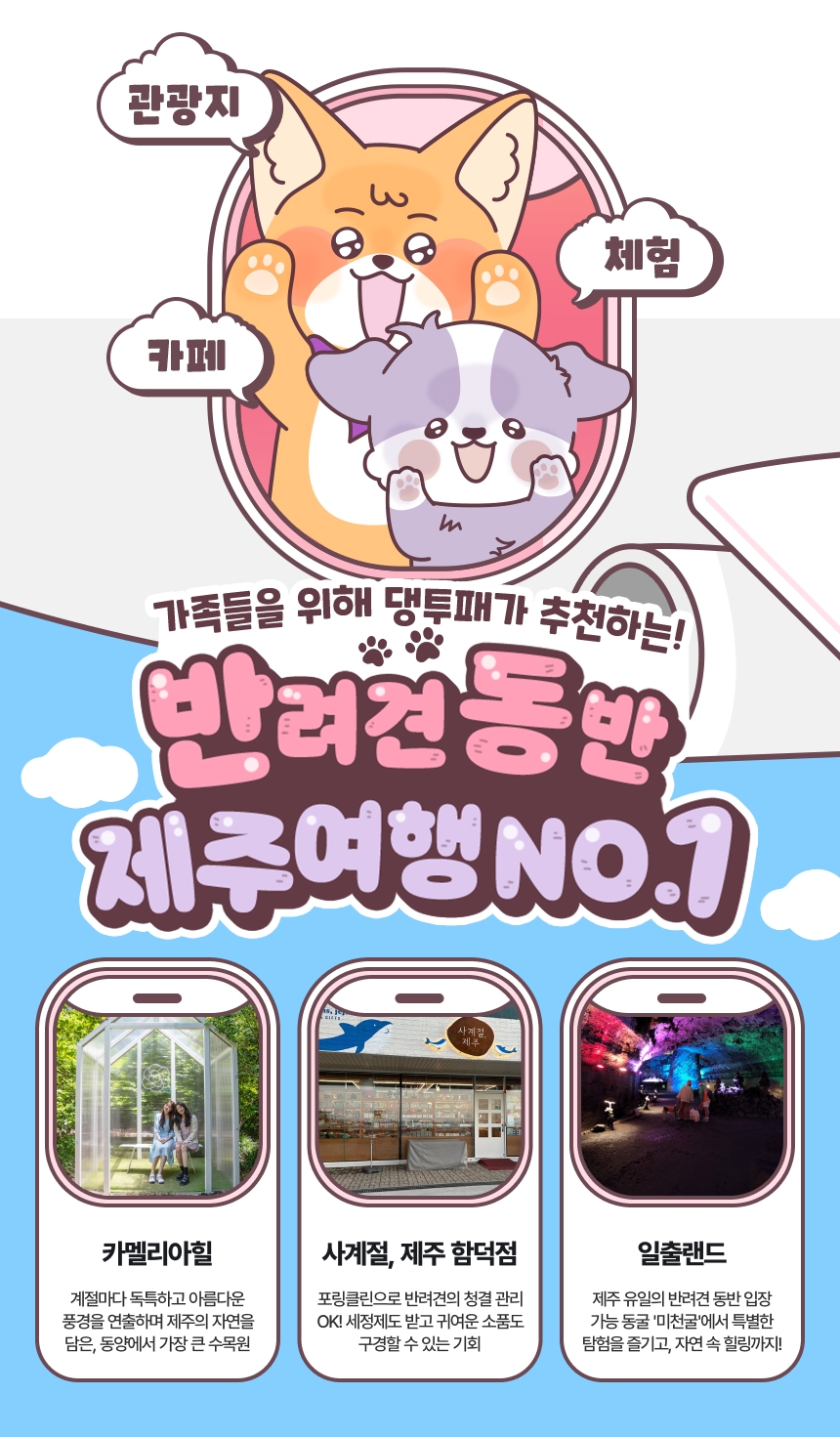 댕댕투어패스