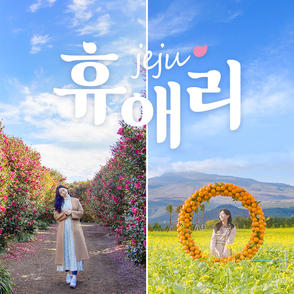 [uc81cuc8fc] ud734uc560ub9ac