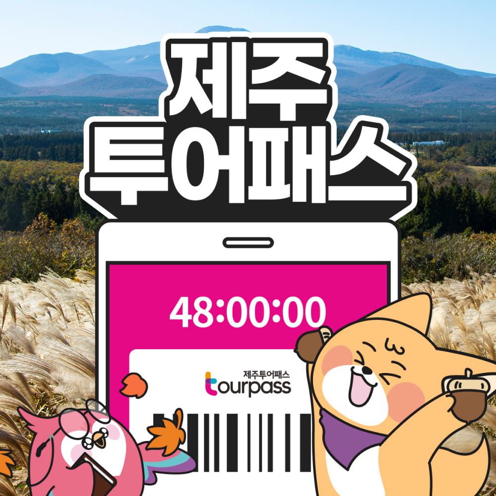 ★최저가★ 제주투어패스