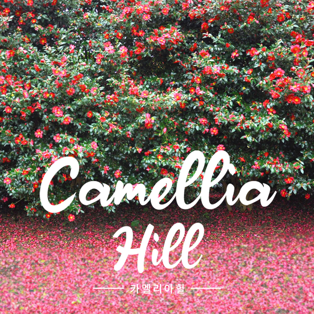 카멜리아힐