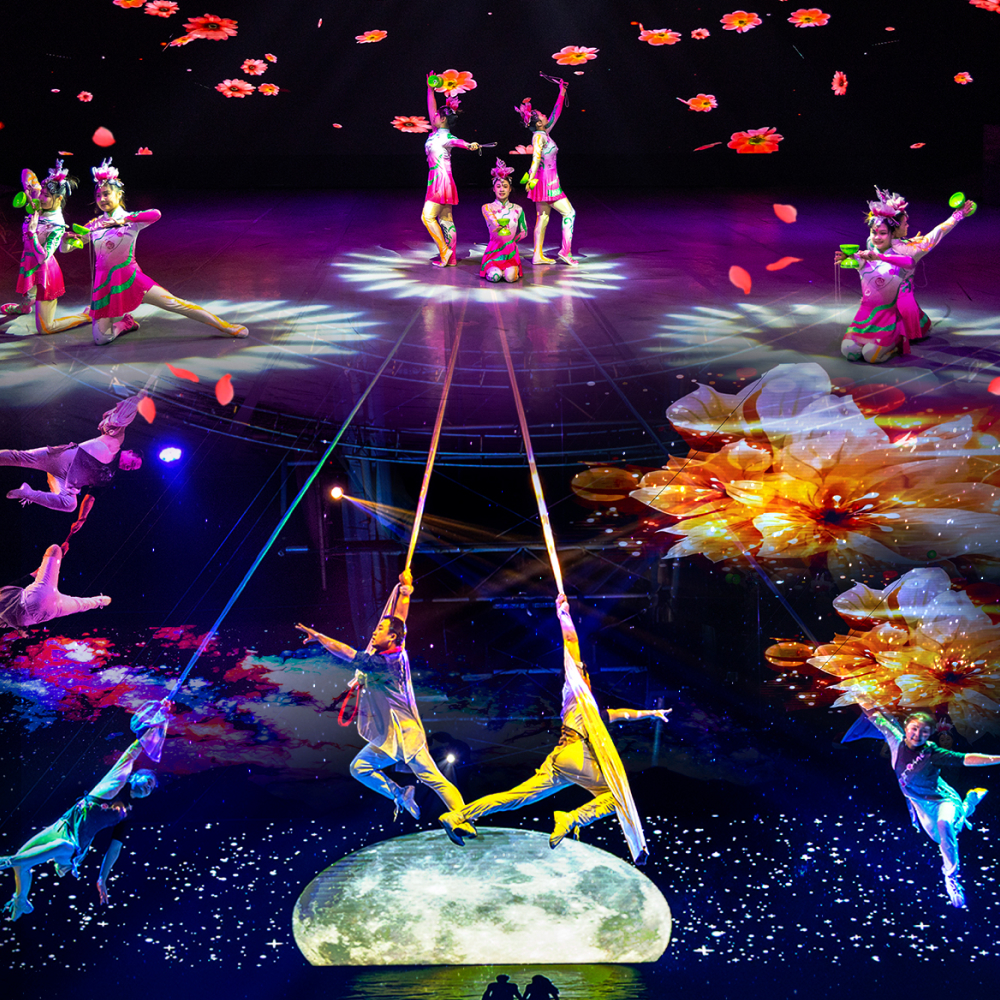 ♥최저가♥ 아트서커스