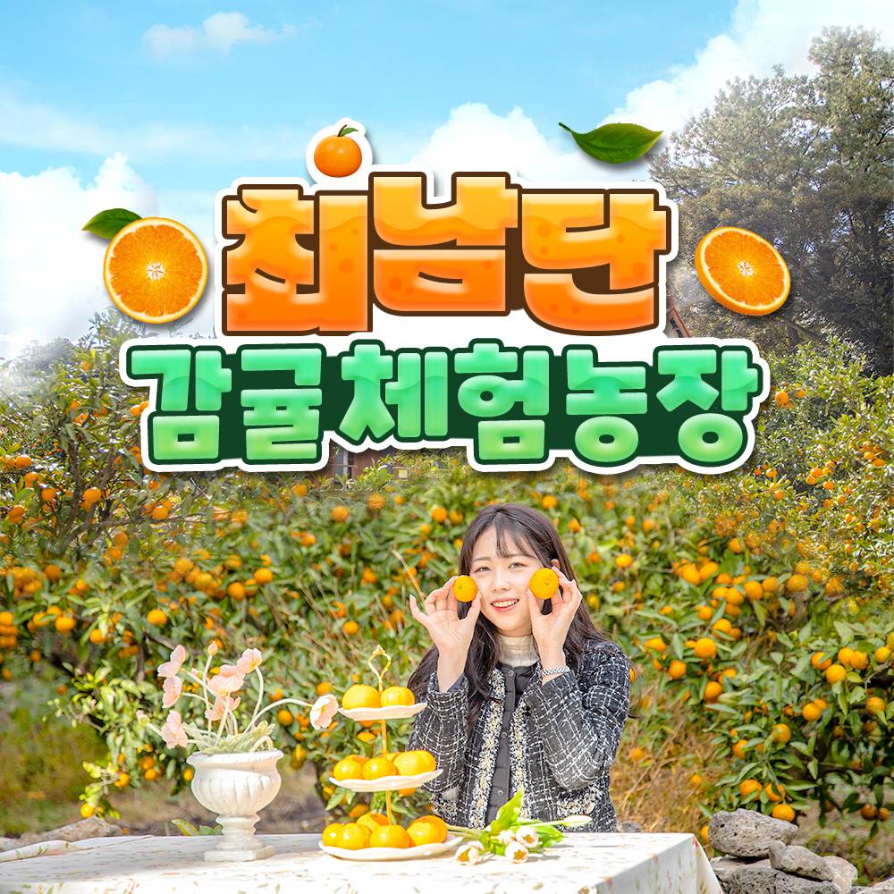 최남단 감귤체험농장