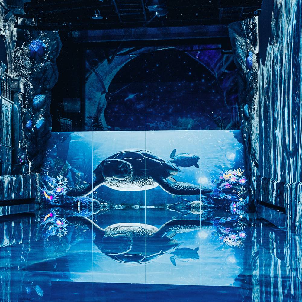 [제주] 워터월드제주 입장권