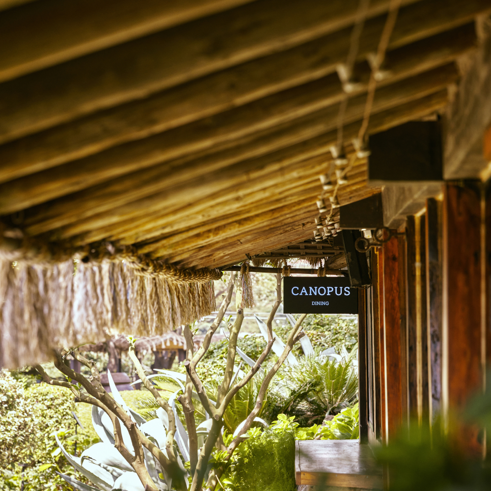 제주 씨에스 호텔 앤 리조트 다이닝