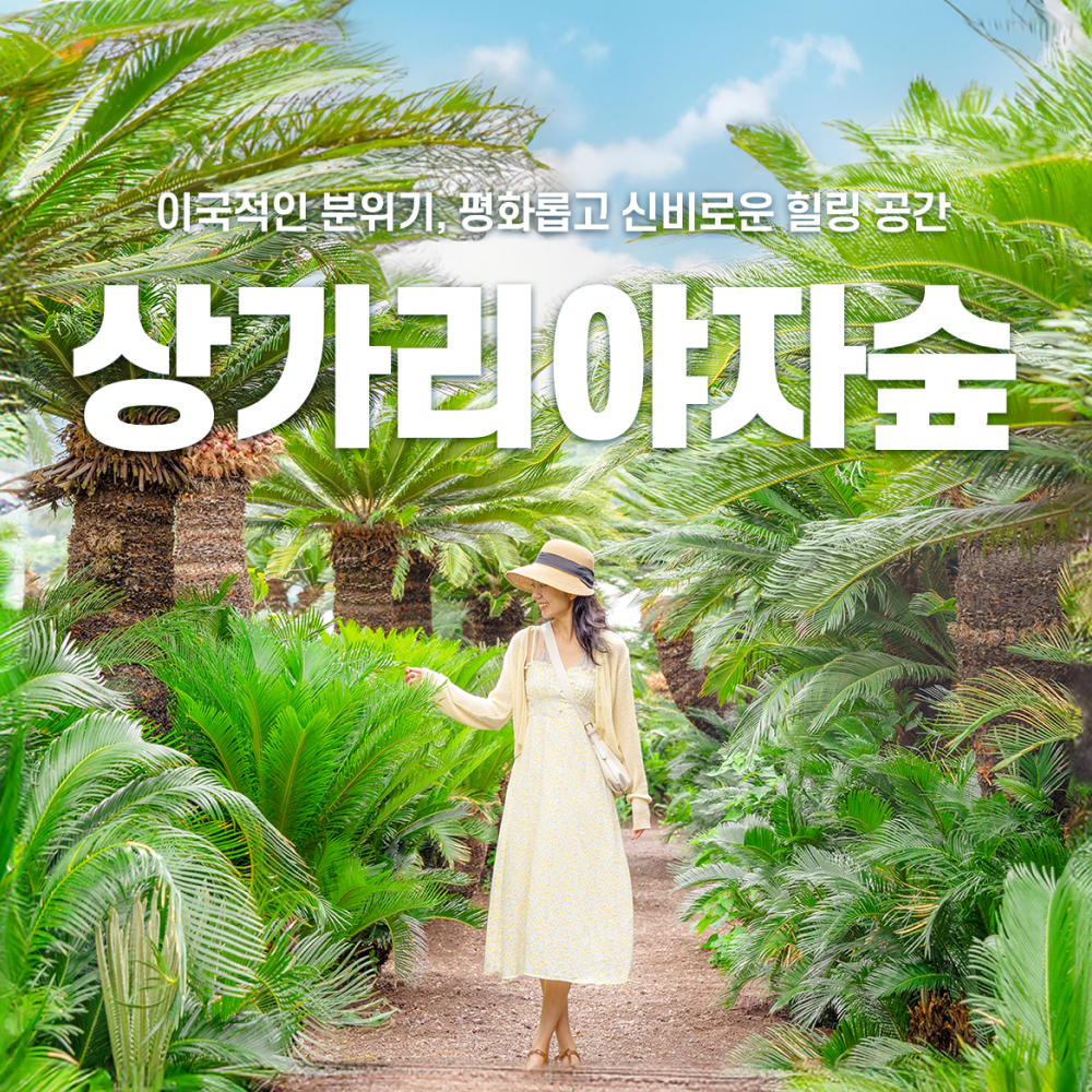 [uc81cuc8fc] uc0c1uac00ub9acuc57cuc790uc232 uc785uc7a5uad8c