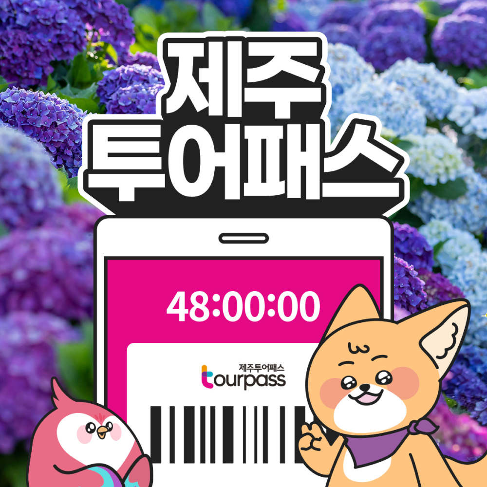 제주투어패스 48시간 이용권(2days)