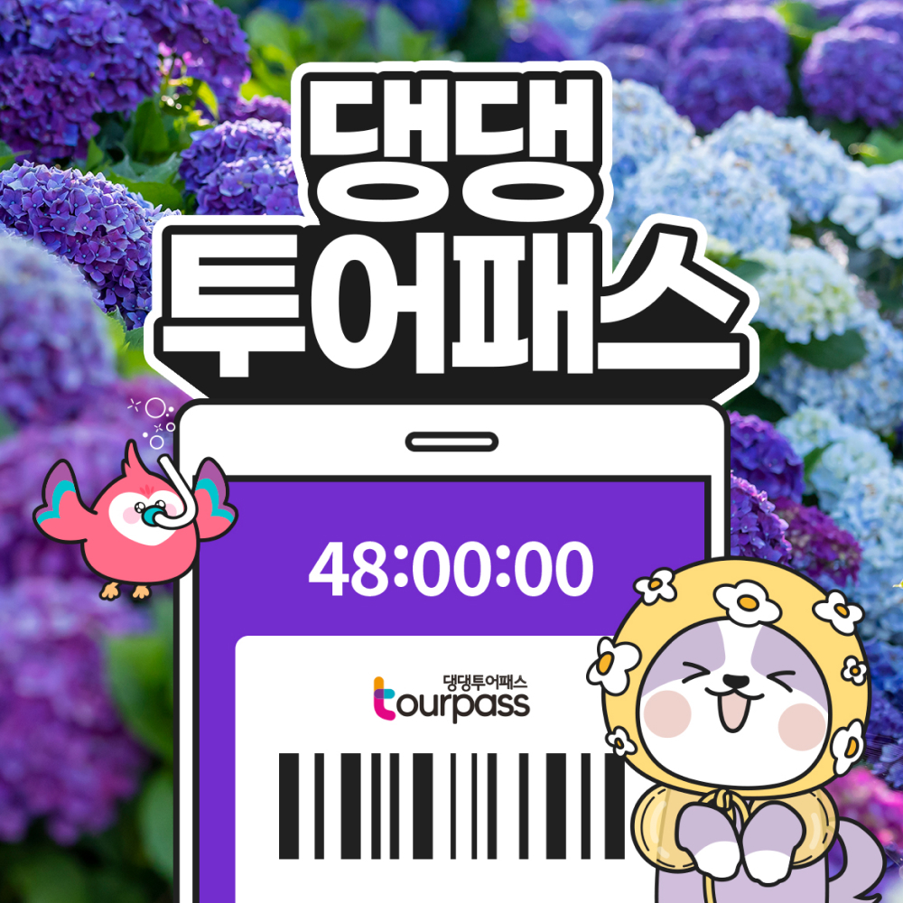 댕댕투어패스