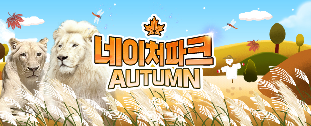 에이전시배너이미지