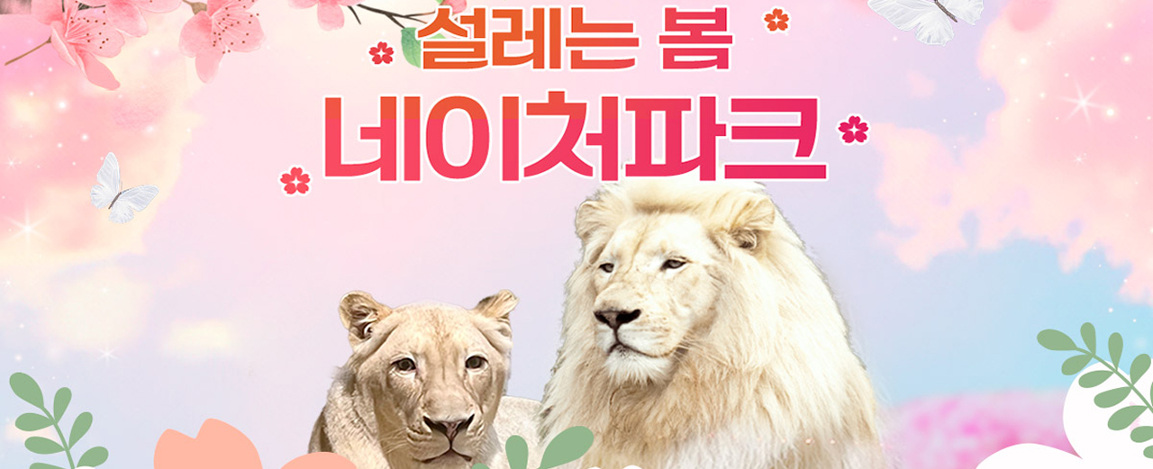 에이전시배너이미지